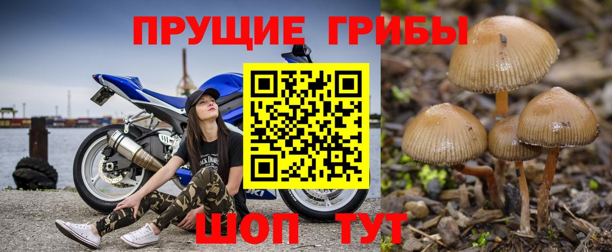Псилоцибиновые грибы Psilocybine cubensis  Псилоцибиновые грибы ЛСД  Кунгур  Вход с VPN 